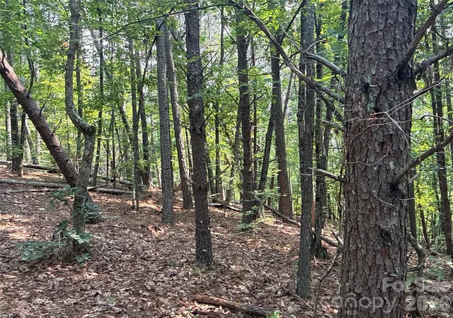 Photo 2 of Land for sale at 242 Golden Crk Ridge, Union Mills, NC 28167 | MLS# 4420193 | Listing updated on 2026-08-31