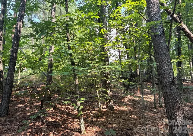 Photo 3 of Land for sale at 242 Golden Crk Ridge, Union Mills, NC 28167 | MLS# 4420193 | Listing updated on 2026-08-31