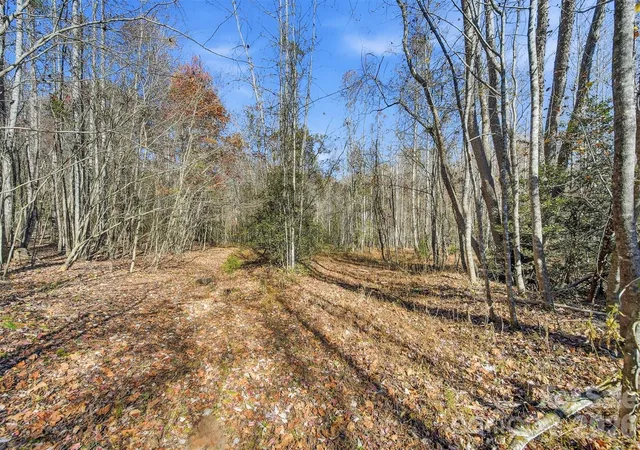Photo 3 of Land for sale at Vl Indian Grave Rd, Lenoir, NC 28645 | MLS# 4420306 | Listing updated on 2026-09-01