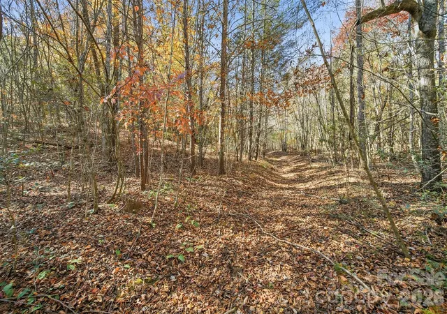 Photo 3 of Land for sale at Vl Indian Grave Rd, Lenoir, NC 28645 | MLS# 4420306 | Listing updated on 2026-09-01