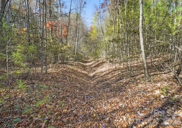 Photo 4 of Land for sale at Vl Indian Grave Rd, Lenoir, NC 28645 | MLS# 4420306 | Listing updated on 2026-09-01