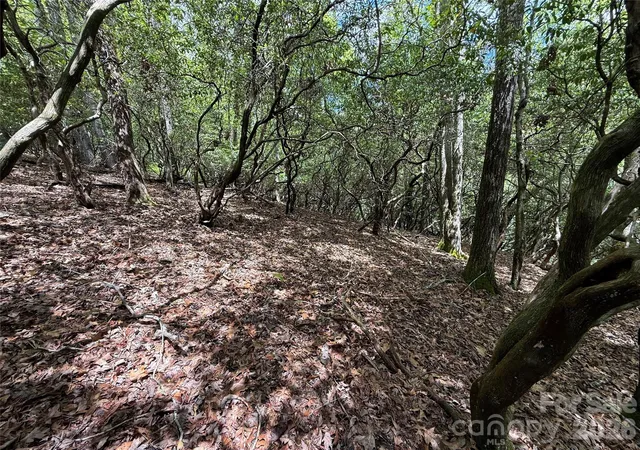 Photo 2 of Land for sale at Tbd Tellico Trl #42/22, Brevard, NC 28712 | MLS# 4421035 | Listing updated on 2026-09-16