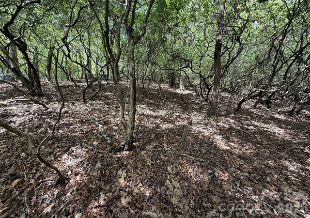 Photo 3 of Land for sale at Tbd Tellico Trl #42/22, Brevard, NC 28712 | MLS# 4421035 | Listing updated on 2026-09-16