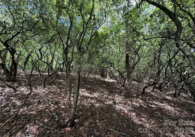 Photo 3 of Land for sale at Tbd Tellico Trl #42/22, Brevard, NC 28712 | MLS# 4421035 | Listing updated on 2026-09-16
