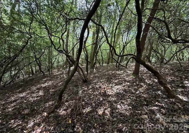 Photo 4 of Land for sale at Tbd Tellico Trl #42/22, Brevard, NC 28712 | MLS# 4421035 | Listing updated on 2026-09-16