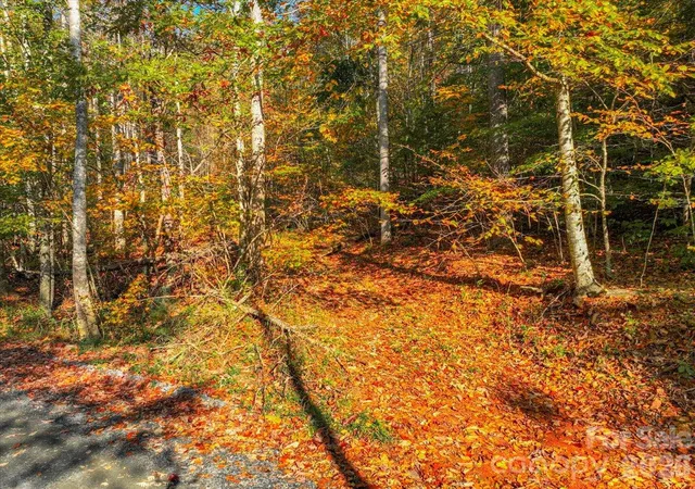 Photo 4 of Land for sale at 000 Pond Rd, Spruce Pine, NC 28777 | MLS# 4421373 | Listing updated on 2026-10-19