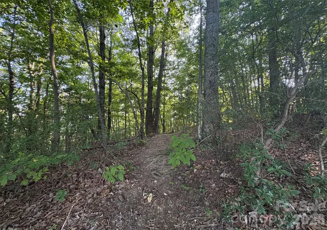 Photo 47 of Single family home for sale at 10 Camp Elliott Rd, Black Mountain, NC 28711 | MLS# 4421451 | Listing updated on 2026-10-05
