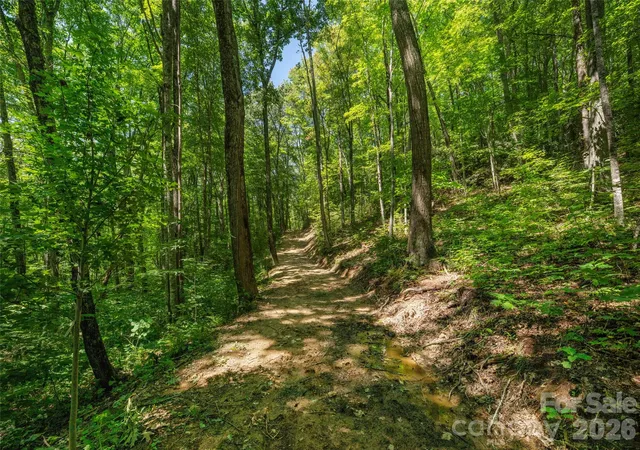 Photo 4 of Land for sale at 433 Rockmont Rd, Waynesville, NC 28785 | MLS# 4421473 | Listing updated on 2026-09-29