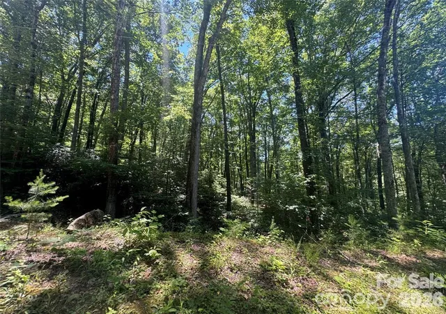 Land for sale at 165 N Poplar Dr, Lake Lure, NC 28746 | MLS# 4421589