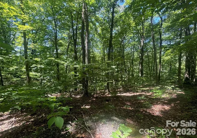 Photo 2 of Land for sale at 165 N Poplar Dr, Lake Lure, NC 28746 | MLS# 4421589 | Listing updated on 2026-09-04