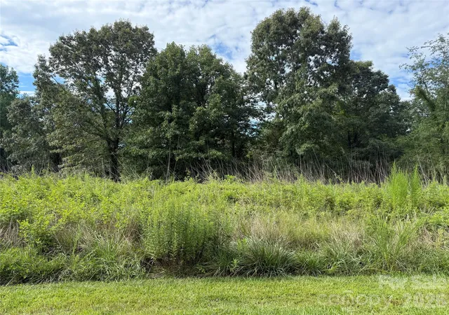 Photo 2 of Land for sale at Lot 73 Ole Plantation Dr, Rutherfordton, NC 28139 | MLS# 4421712 | Listing updated on 2026-09-04
