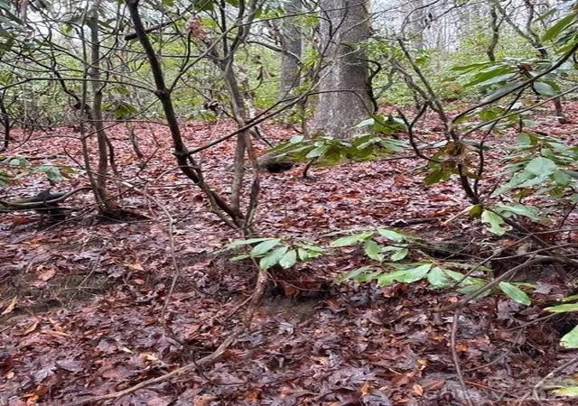 Photo 2 of Land for sale at 724 Blackgum Ct #350, Hendersonville, NC 28739 | MLS# 4421715 | Listing updated on 2026-09-04