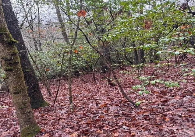 Photo 3 of Land for sale at 724 Blackgum Ct #350, Hendersonville, NC 28739 | MLS# 4421715 | Listing updated on 2026-09-04