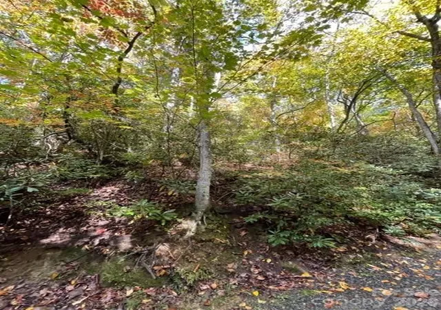 Photo 4 of Land for sale at 724 Blackgum Ct #350, Hendersonville, NC 28739 | MLS# 4421715 | Listing updated on 2026-09-04