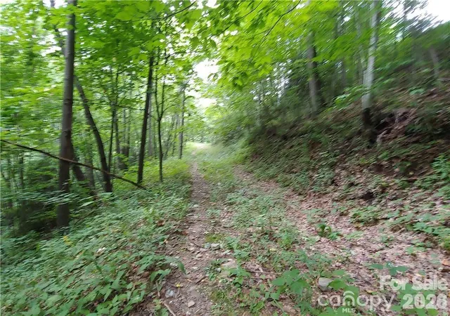 Photo 3 of Land for sale at 24 Tater Patch Rd, Waynesville, NC | MLS# 4421811 | Listing updated on 2026-09-04