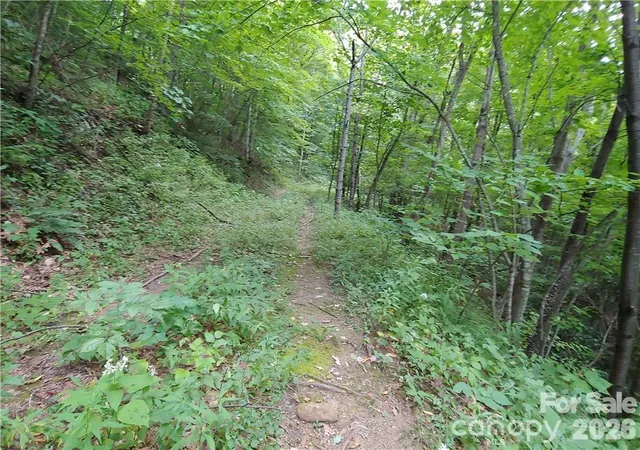 Photo 3 of Land for sale at 24 Tater Patch Rd, Waynesville, NC | MLS# 4421811 | Listing updated on 2026-09-04