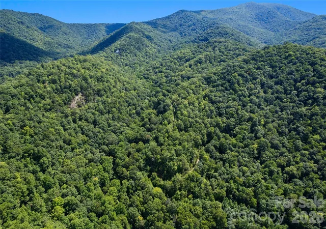 Photo 3 of Land for sale at Off Little E Frk Rd #L-1, Canton, NC 28716 | MLS# 4421882 | Listing updated on 2026-10-02