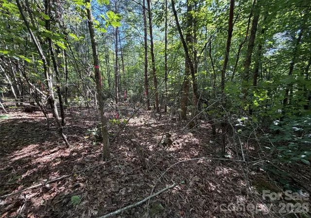 Photo 2 of Land for sale at 476 Southern Way, Nebo, NC 28761 | MLS# 4422041 | Listing updated on 2026-09-05