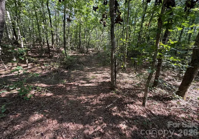 Photo 3 of Land for sale at 476 Southern Way, Nebo, NC 28761 | MLS# 4422041 | Listing updated on 2026-09-05