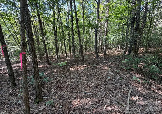 Photo 3 of Land for sale at 476 Southern Way, Nebo, NC 28761 | MLS# 4422041 | Listing updated on 2026-09-05