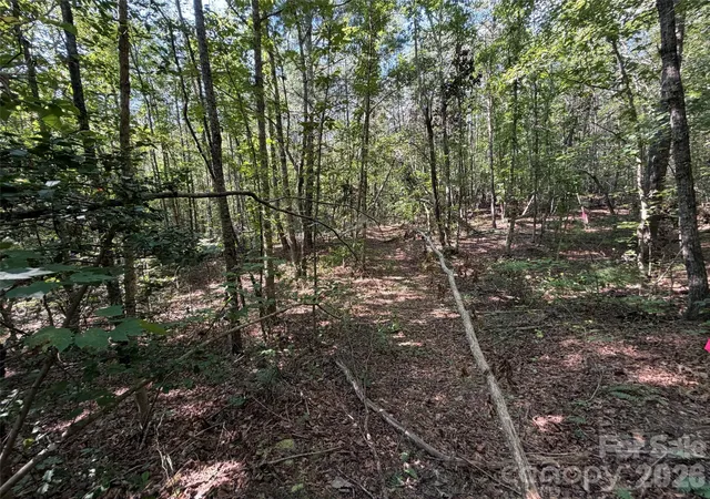 Photo 4 of Land for sale at 476 Southern Way, Nebo, NC 28761 | MLS# 4422041 | Listing updated on 2026-09-05