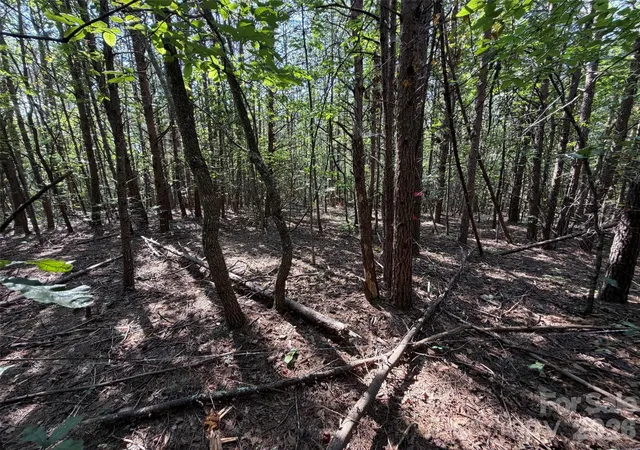 Photo 2 of Land for sale at 472 Southern Way, Nebo, NC 28761 | MLS# 4422042 | Listing updated on 2026-09-05