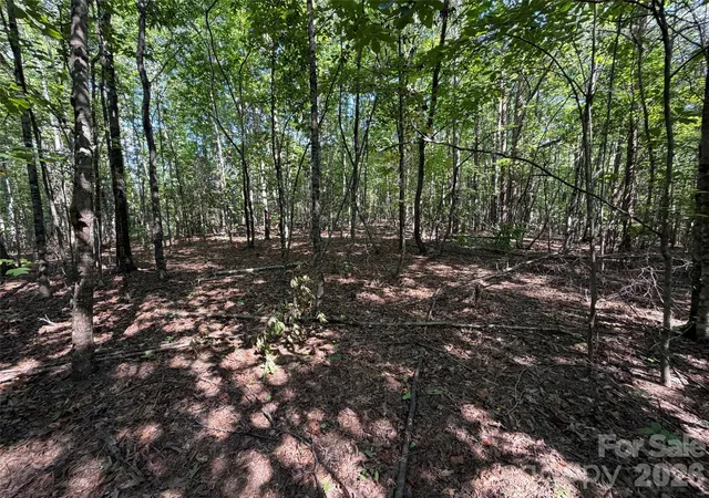 Photo 3 of Land for sale at 472 Southern Way, Nebo, NC 28761 | MLS# 4422042 | Listing updated on 2026-09-05