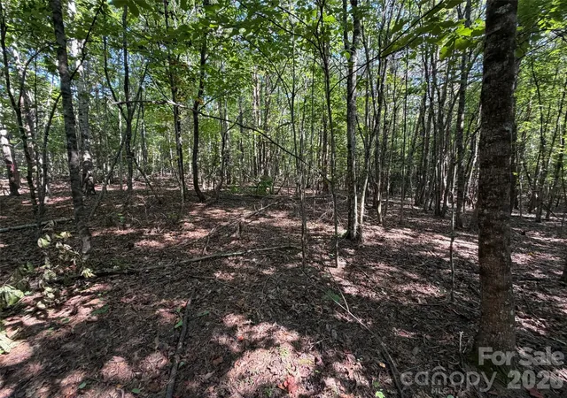 Photo 3 of Land for sale at 472 Southern Way, Nebo, NC 28761 | MLS# 4422042 | Listing updated on 2026-09-05