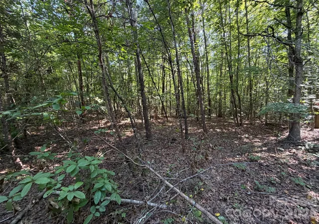 Photo 4 of Land for sale at 472 Southern Way, Nebo, NC 28761 | MLS# 4422042 | Listing updated on 2026-09-05