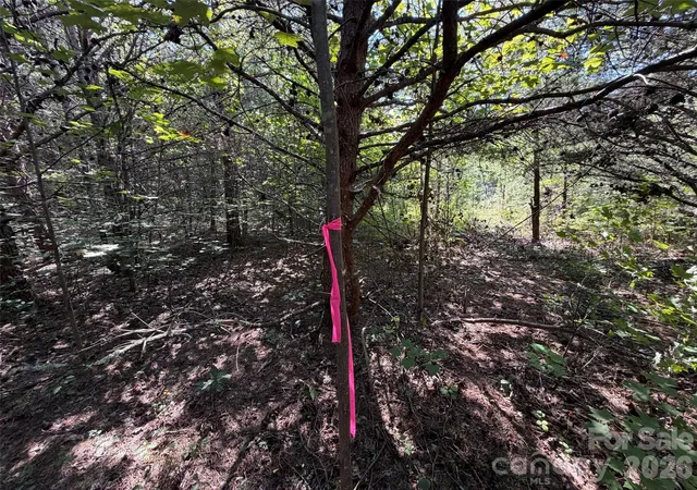 Photo 2 of Land for sale at 468 Southern Way, Nebo, NC 28761 | MLS# 4422044 | Listing updated on 2026-09-05