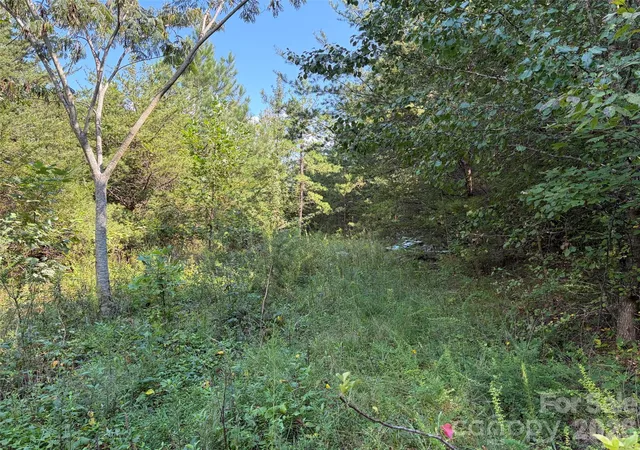 Photo 3 of Land for sale at 468 Southern Way, Nebo, NC 28761 | MLS# 4422044 | Listing updated on 2026-09-05