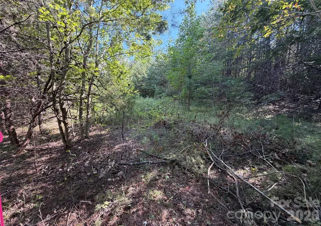 Photo 4 of Land for sale at 468 Southern Way, Nebo, NC 28761 | MLS# 4422044 | Listing updated on 2026-09-05