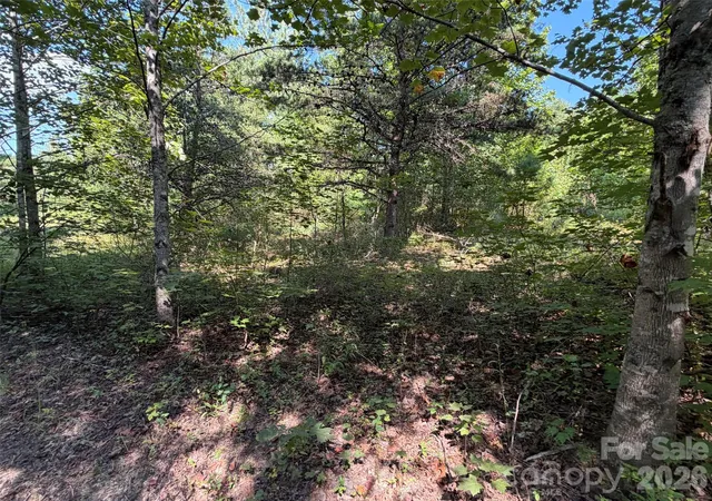 Photo 3 of Land for sale at 420 Southern Way, Nebo, NC 28761 | MLS# 4422048 | Listing updated on 2026-09-05