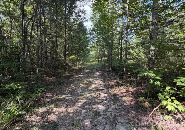 Photo 4 of Land for sale at 420 Southern Way, Nebo, NC 28761 | MLS# 4422048 | Listing updated on 2026-09-05