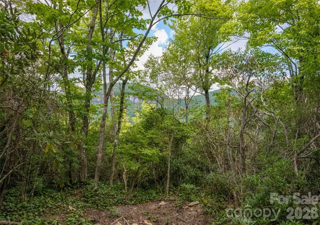 Photo 3 of Land for sale at 916 Meadow Ridge Dr, Lake Toxaway, NC 28747 | MLS# 4422067 | Listing updated on 2026-09-05