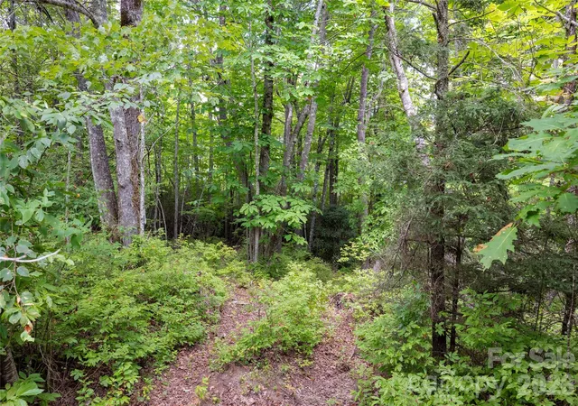 Photo 3 of Land for sale at 916 Meadow Ridge Dr, Lake Toxaway, NC 28747 | MLS# 4422067 | Listing updated on 2026-09-05