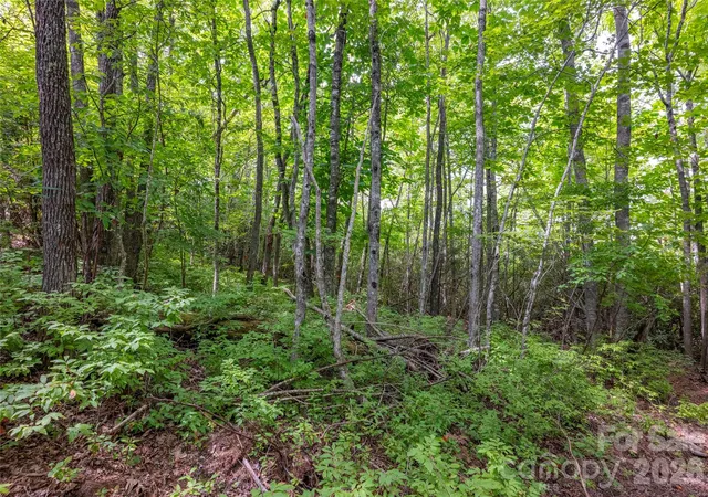 Photo 4 of Land for sale at 916 Meadow Ridge Dr, Lake Toxaway, NC 28747 | MLS# 4422067 | Listing updated on 2026-09-05