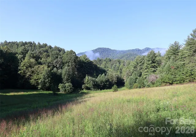 Land for sale at 99999 Dream Valley Dr, Clyde, NC 28721 | MLS# 4422093