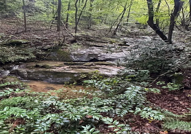 Photo 3 of Land for sale at 99999 Dream Valley Dr, Clyde, NC 28721 | MLS# 4422093 | Listing updated on 2026-09-05