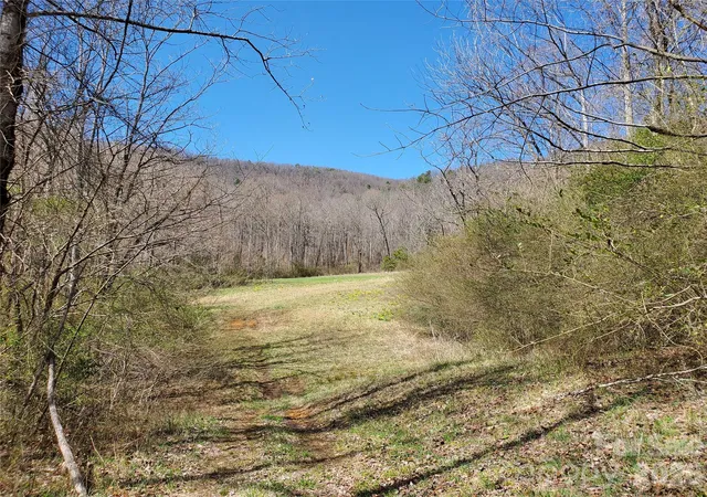 Photo 1 of Land for sale at 8057 Highway 16, Moravian Falls, NC 28654 | MLS# 4422204 | Listing updated on 2026-09-07