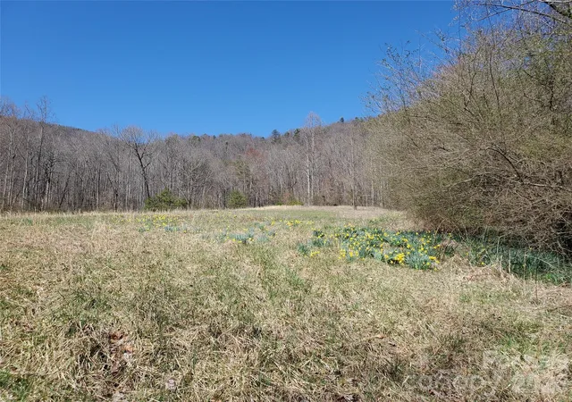 Photo 2 of Land for sale at 8057 Highway 16, Moravian Falls, NC 28654 | MLS# 4422204 | Listing updated on 2026-09-07