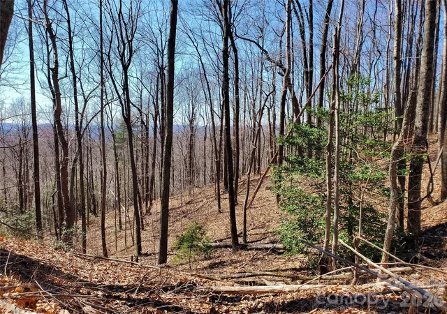 Photo 3 of Land for sale at 8057 Highway 16, Moravian Falls, NC 28654 | MLS# 4422204 | Listing updated on 2026-09-07