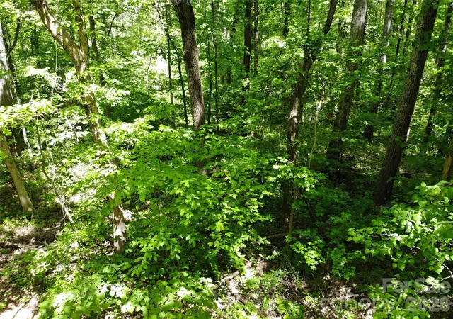 Photo 2 of Land for sale at #168 Rolling Rd, Lincolnton, NC 28092 | MLS# 4422242 | Listing updated on 2026-09-24