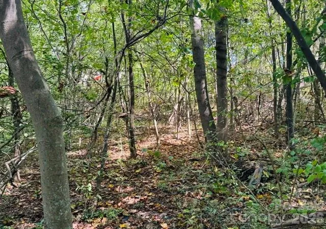 Land for sale at Tbd Hi Alta Ave, Asheville, NC 28806 | MLS# 4422246