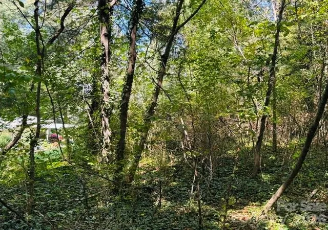 Photo 1 of Land for sale at Tbd Hi Alta Ave, Asheville, NC 28806 | MLS# 4422246 | Listing updated on 2026-09-21