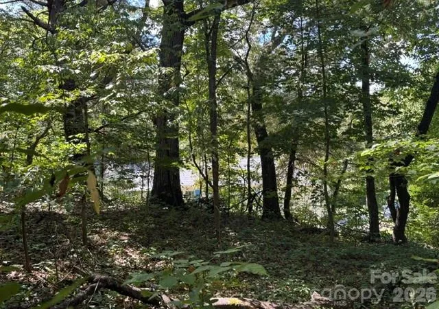Photo 2 of Land for sale at Tbd Hi Alta Ave, Asheville, NC 28806 | MLS# 4422246 | Listing updated on 2026-09-21