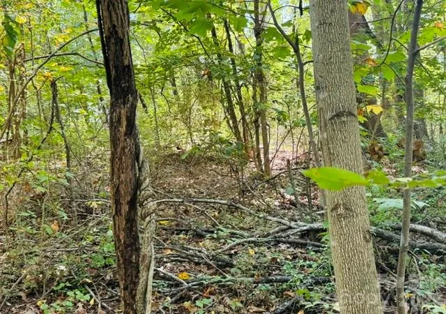 Photo 3 of Land for sale at Tbd Hi Alta Ave, Asheville, NC 28806 | MLS# 4422246 | Listing updated on 2026-09-21