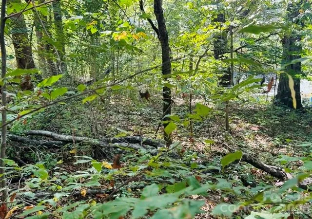 Photo 4 of Land for sale at Tbd Hi Alta Ave, Asheville, NC 28806 | MLS# 4422246 | Listing updated on 2026-09-21