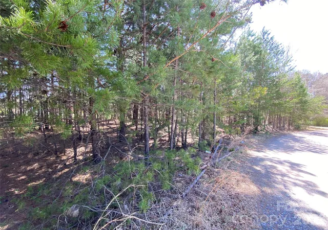 Photo 1 of Land for sale at Next To 1670 Buck Oak Rd, Lincolnton, NC 28092 | MLS# 4422364 | Listing updated on 2026-09-07