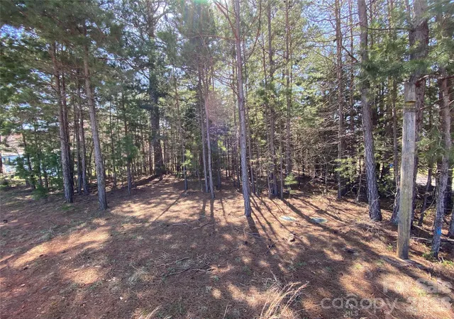 Photo 3 of Land for sale at Next To 1670 Buck Oak Rd, Lincolnton, NC 28092 | MLS# 4422364 | Listing updated on 2026-09-07
